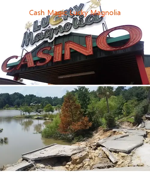 Cash Magic Lucky Magnolia