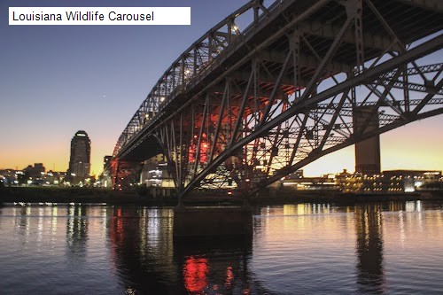 Louisiana Wildlife Carousel