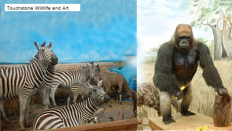 Touchstone Wildlife and Art