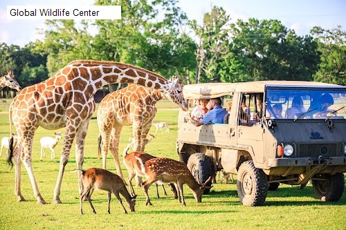 Global Wildlife Center