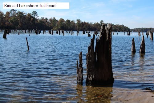 Kincaid Lakeshore Trailhead
