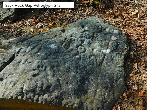 Track Rock Gap Petroglyph Site